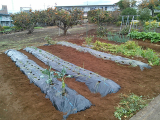 2012-10-28 11.58.41.jpg