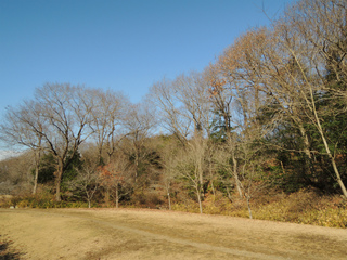 DSCN0735.jpg