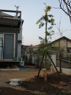 DSCN1345.jpg