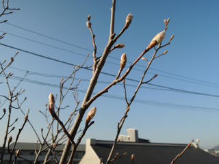 DSCN1422.jpg