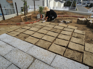 DSCN1455.jpg