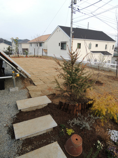 DSCN1463.jpg