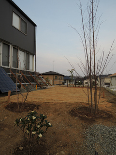 DSCN1466.jpg