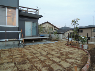 DSCN1486.jpg