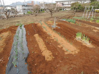 DSCN1514.jpg
