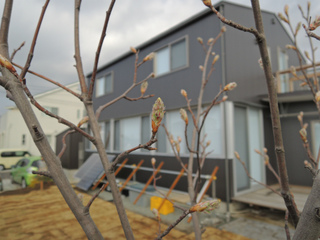 DSCN1522.jpg