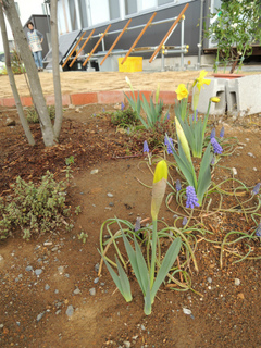 DSCN1523.jpg
