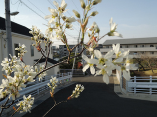 DSCN1652.jpg