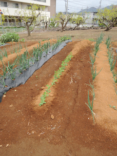 DSCN1693.jpg