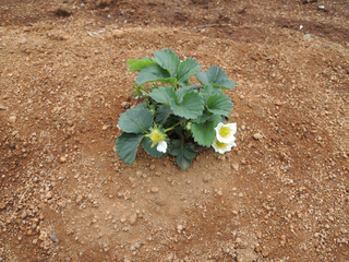 DSCN1695.jpg