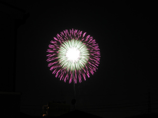 DSCN1828.jpg