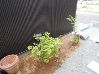 DSCN1939.jpg