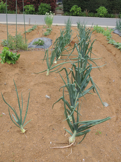 DSCN1956.jpg