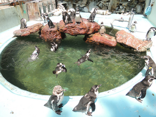DSCN2583.jpg
