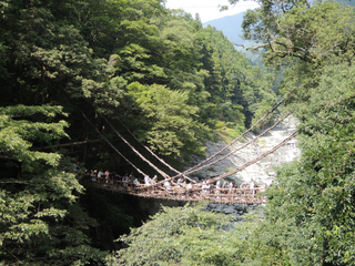 DSCN2677.jpg