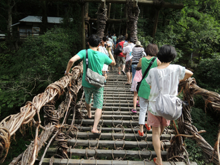 DSCN2711.jpg