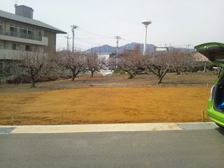 DSC_0859-1.jpeg