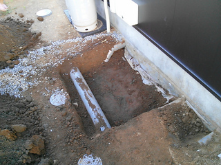 IMG00420.jpg