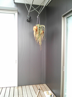 IMG00774.jpg