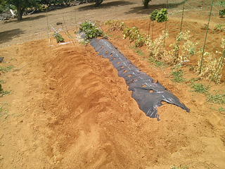 IMG00776.jpg