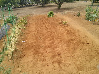 IMG00777.jpg