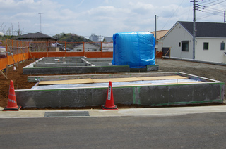 IMGP2308.jpg