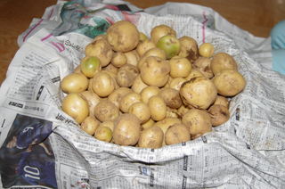 IMGP4001.jpg