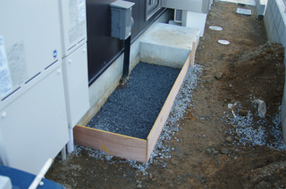 IMGP4742.jpg