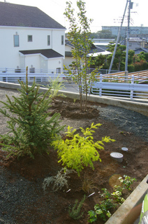 IMGP5354.jpg