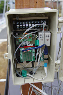 IMGP5555.jpg