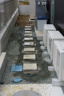 IMGP5579.jpg