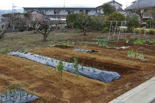 IMGP5583.jpg